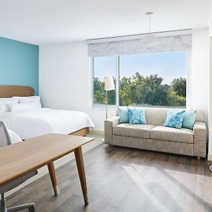 Queen Studio Sofa Bed